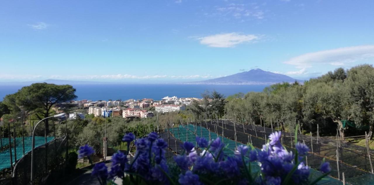 Sorrento Dolce Casa Apartment Bagian luar foto