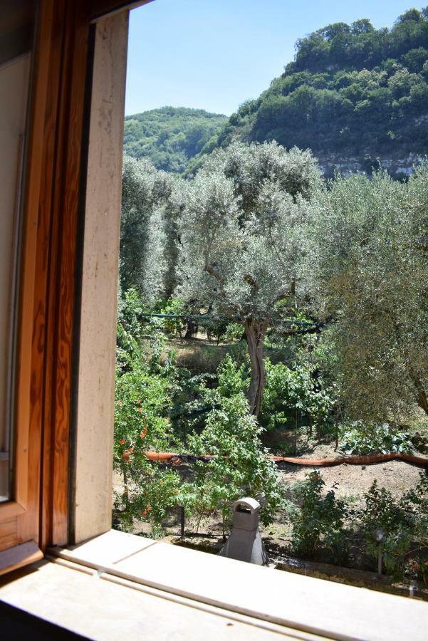 Sorrento Dolce Casa Apartment Bagian luar foto